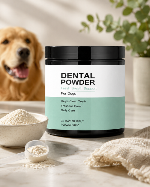 Dental Powder by Cluxo®️