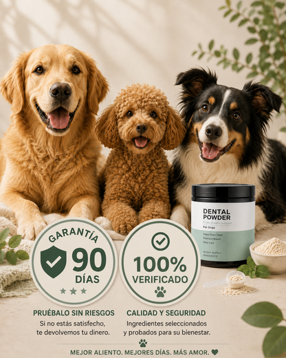 Dental Powder by Cluxo®️
