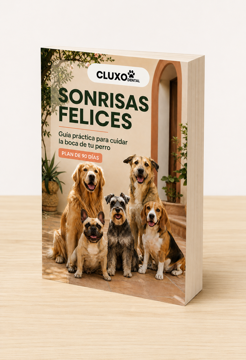 Ebook 90 días de cuidado dental